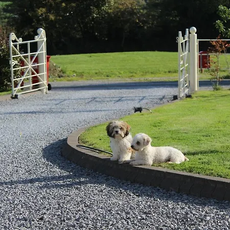 Luachra Gneeveguilla