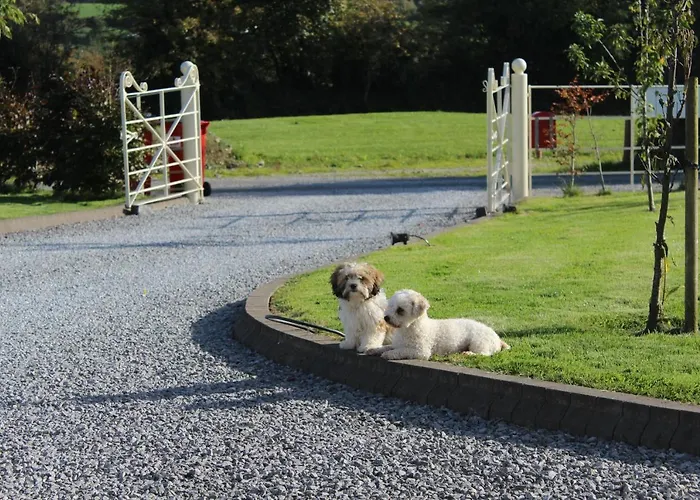 Luachra Gneeveguilla