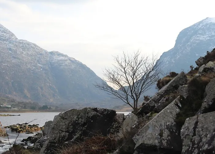 Luachra Bed & Breakfast