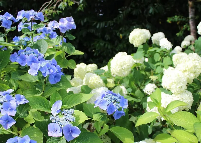 Luachra Bed & Breakfast 5*