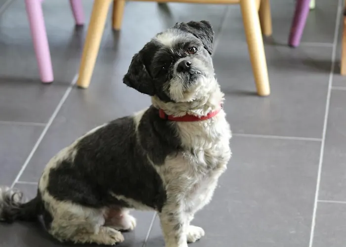 Luachra Bed & Breakfast Gneeveguilla