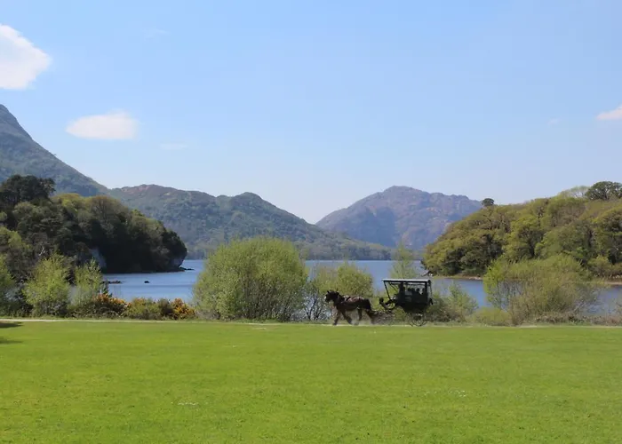 Luachra Bed and Breakfast 5*
