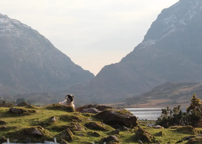 Luachra Bed & Breakfast Gneeveguilla