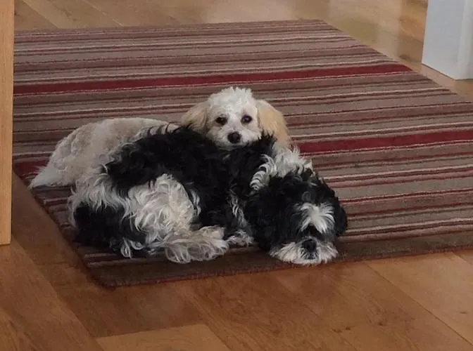 Luachra ベッド・アンド・ブレックファスト 5*