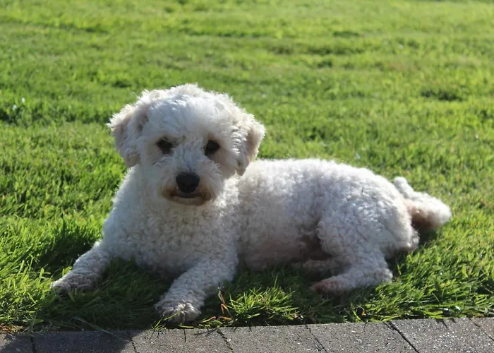 Bed & Breakfast Luachra