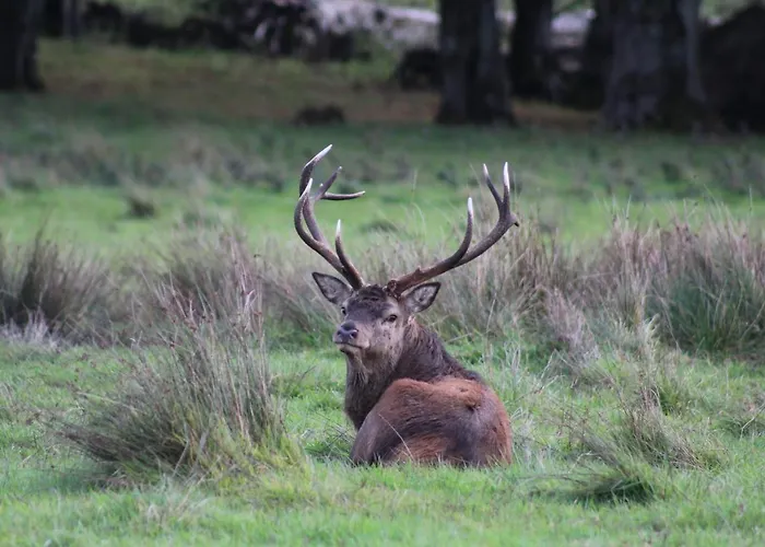 Luachra Bed & Breakfast Gneeveguilla